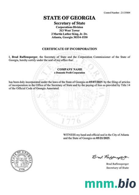 USA Georgia vcertyfikat of inkorporacja Word i szablon PDF